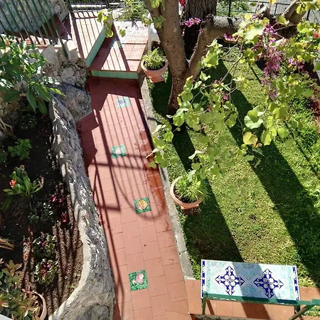 Bouganvillea بيت للعطل