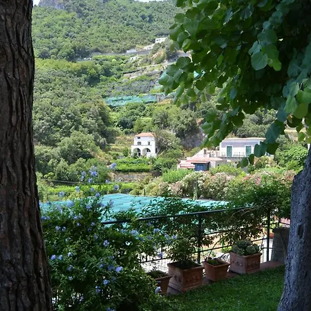 Bouganvillea Casa vacanze