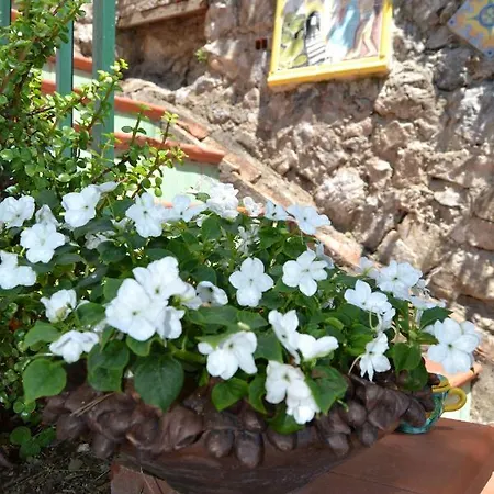 Bouganvillea Casa vacanze *