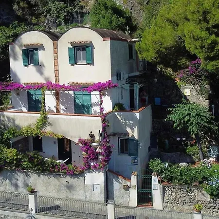 Bouganvillea * Cetara