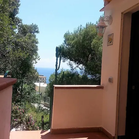 Bouganvillea * Cetara